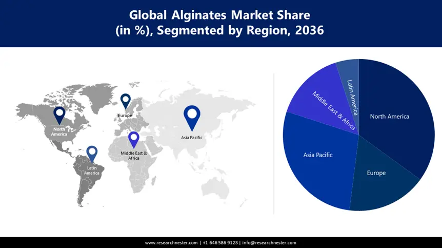 Alginates Market size